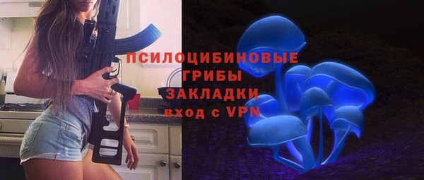 мет Елизово
