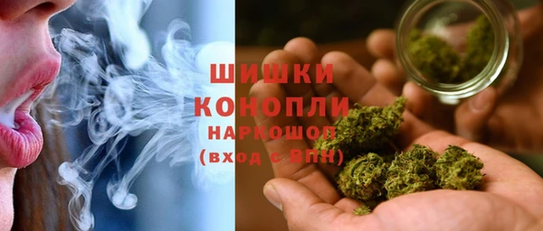 spice Дмитриев