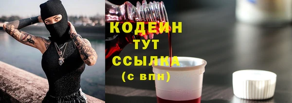 мет Елизово