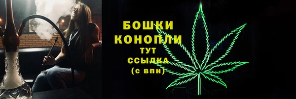 мет Елизово