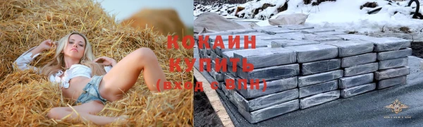 spice Дмитриев