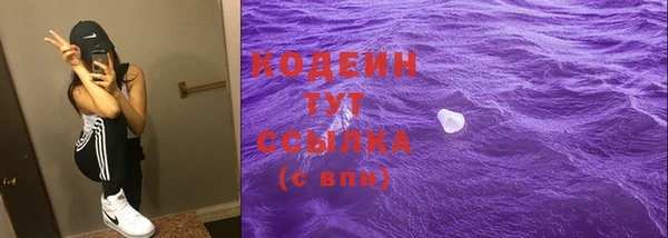 spice Дмитриев