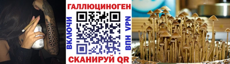 Галлюциногенные грибы Magic Shrooms  закладки  OMG сайт  Майкоп 